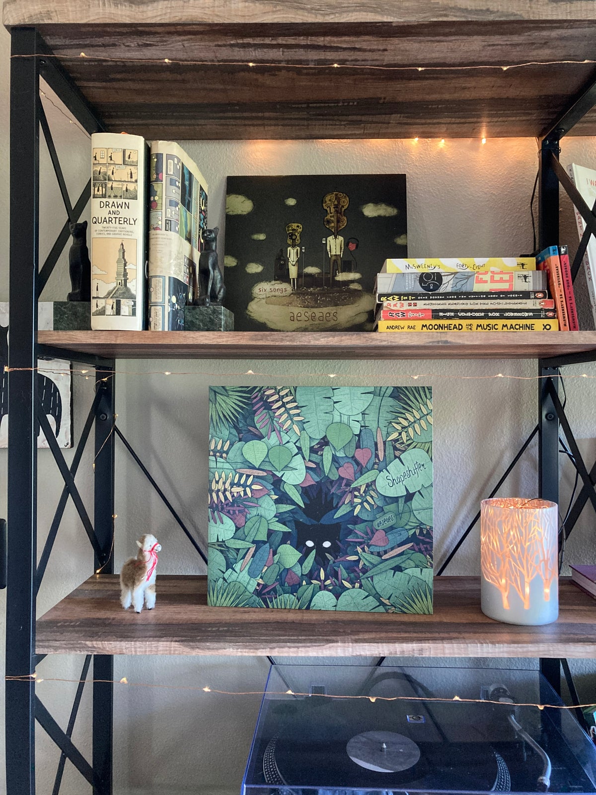 Shapeshifter (Vinyl Record)